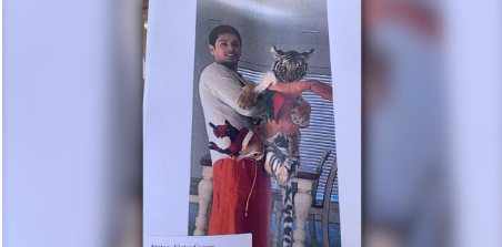 Houston's missing tiger found after it's turned in by its owner